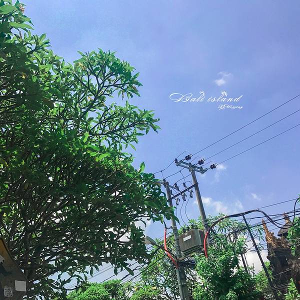 2019乌布集市购物攻略,巴厘岛乌布集市购物中