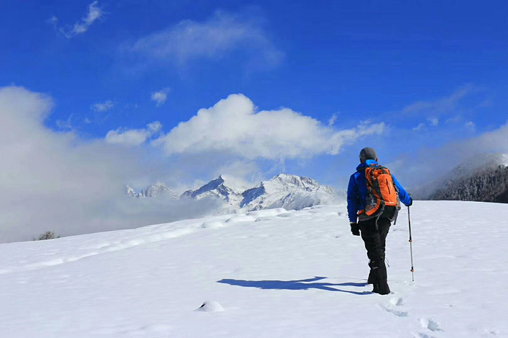 是去陌生的远方,寻找世界上另一个自己