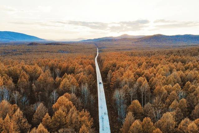 阿尔山国家森林公园