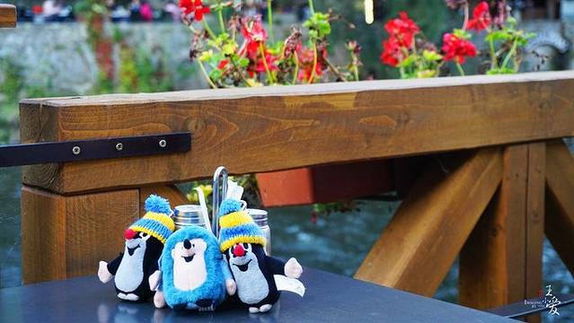 Hotel Dvorak - The River terrace