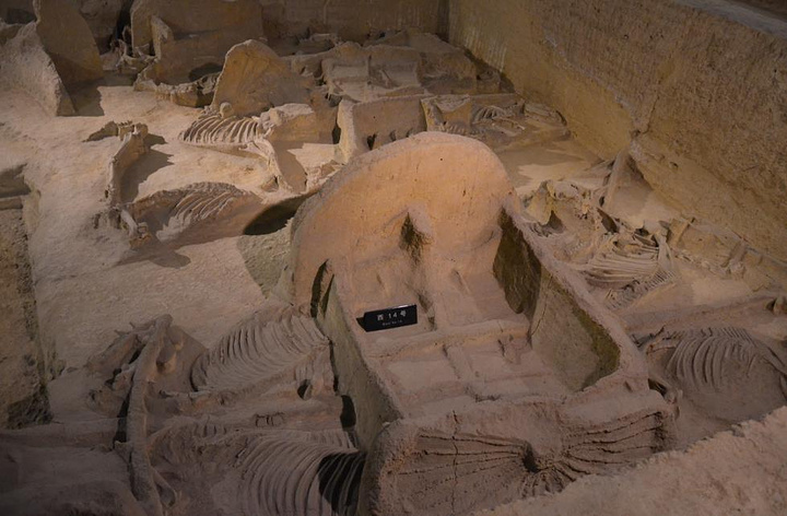 他是一个非常大的,车马陪葬坑,非常完整,摆放顺序也非常的整齐,虽然