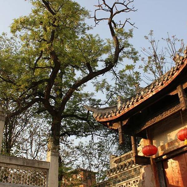 点击图片查看详情 贵州安顺旅游景点_2018年安顺旅游收入(2)