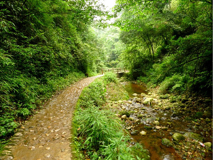 又一村,留园又一村,又一村火锅_大山谷图库