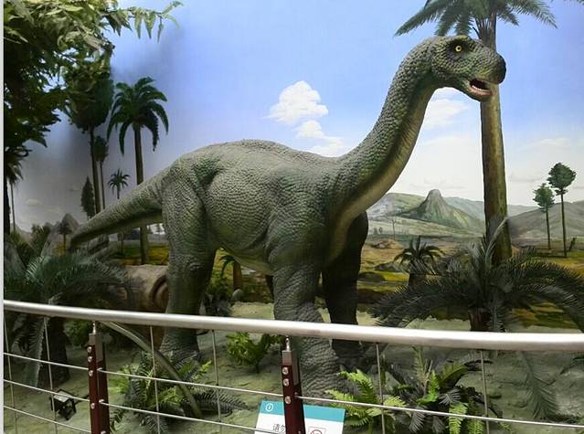 国家自然博物馆