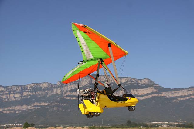 心随翼动 飞在林州