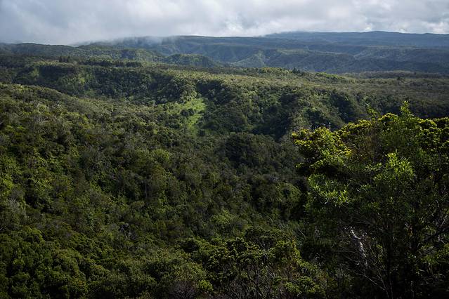 Waimea Canyon