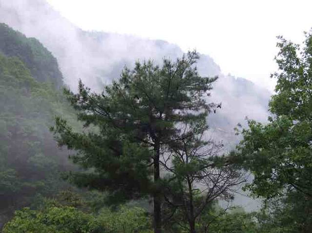 朱雀国家森林公园