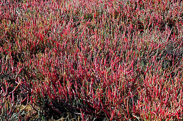 探索澳大利亚最西秘境