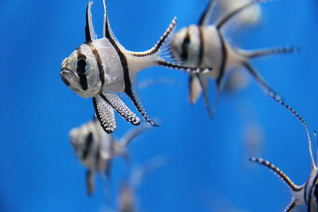 烟台海昌鲸鲨海洋公园