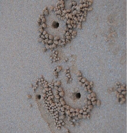 日照海滨亲子游--超详细攻略 视觉盛宴