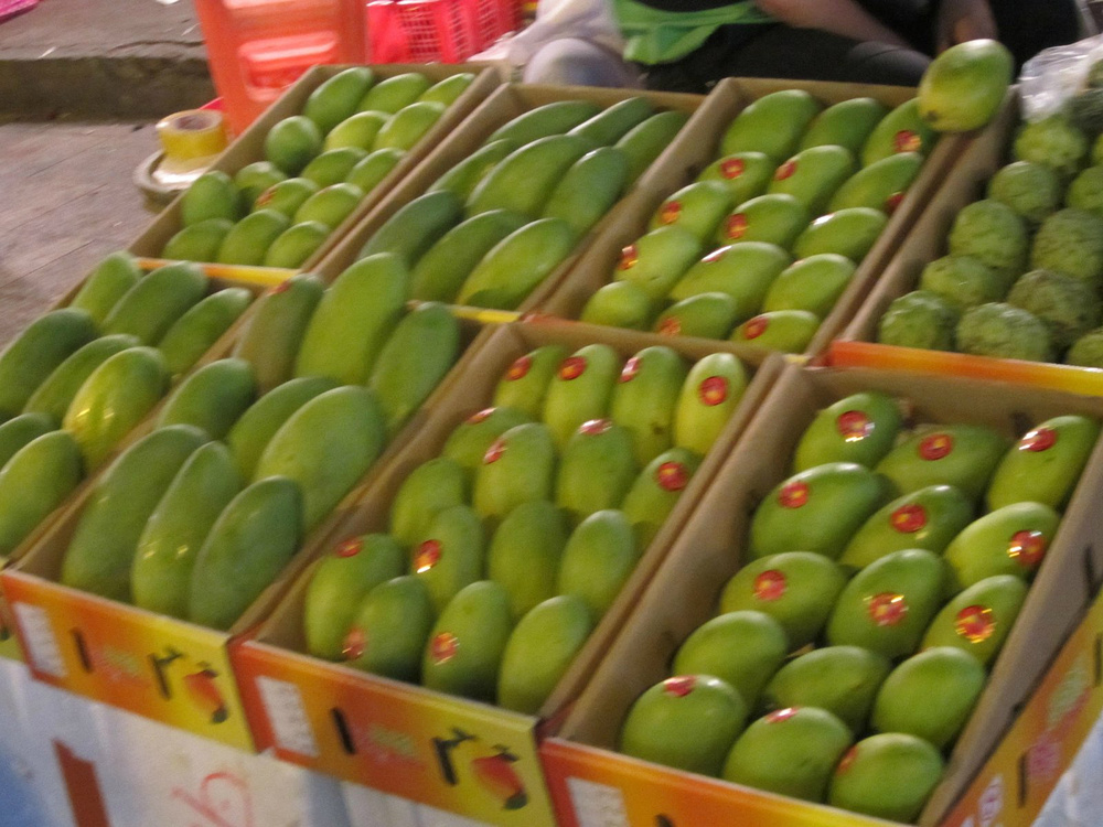 闺蜜的6晚5天加井岛+香水湾经典之旅