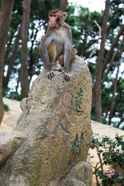 畅游杭州千岛湖