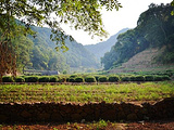 杭州旅游景点攻略图片