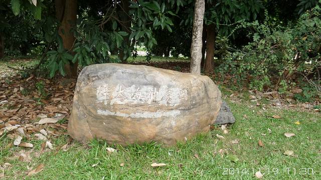 西双版纳南药园景区
