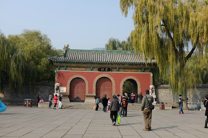 晚上逛柳巷美食街,晚上朋友还带我看了由三百