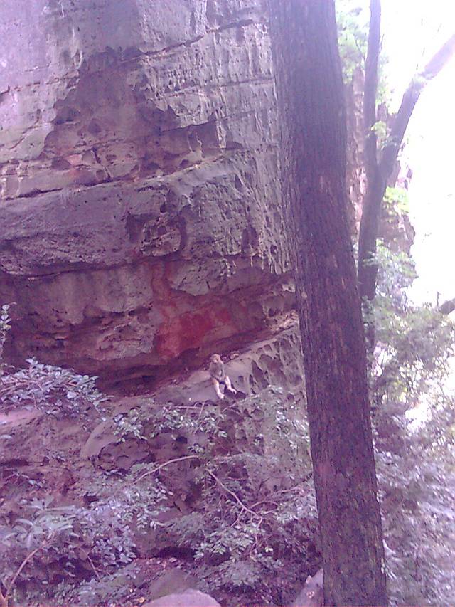 永州都庞岭自然保护区