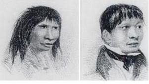 野人“纽扣”图片