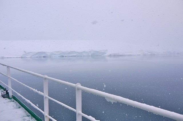 洛克罗伊英国站图片