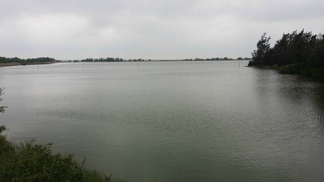 广东湛江红树林国家级自然保护区