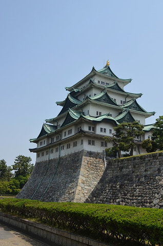 21名古屋城 名古屋jr高岛屋 杉药局 スギ薬局 Top Camera 名古屋总店 荣地下商场 名古屋城 评论 去哪儿攻略