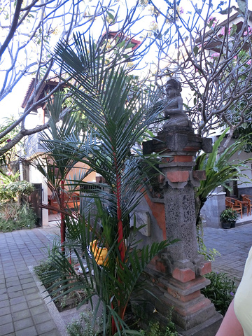 2017民宿:太阳能客栈(Surya Inn)这家民宿离机