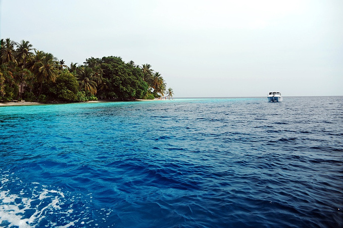 岛上的生活照片~~图片