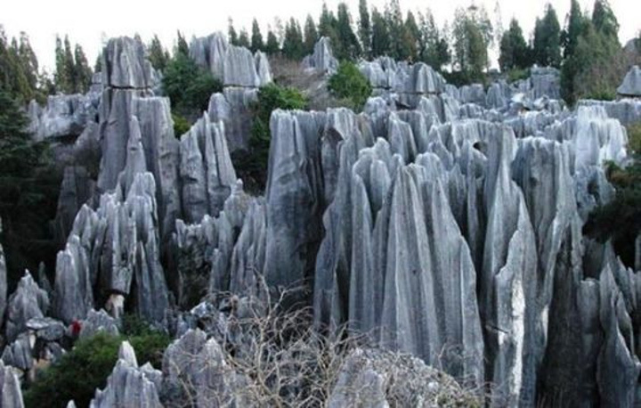 "怪石嶙峋，挺好玩的，风景也不错，去千岛湖玩，这个一定要去_千岛湖石林景区"的评论图片