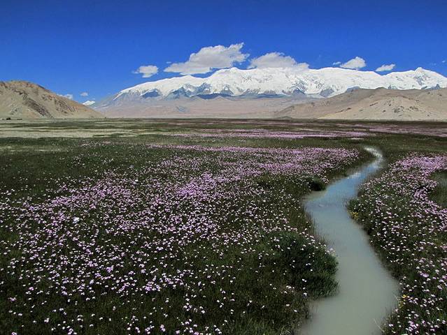 24,阿克陶康西瓦河上游与公格尔峰