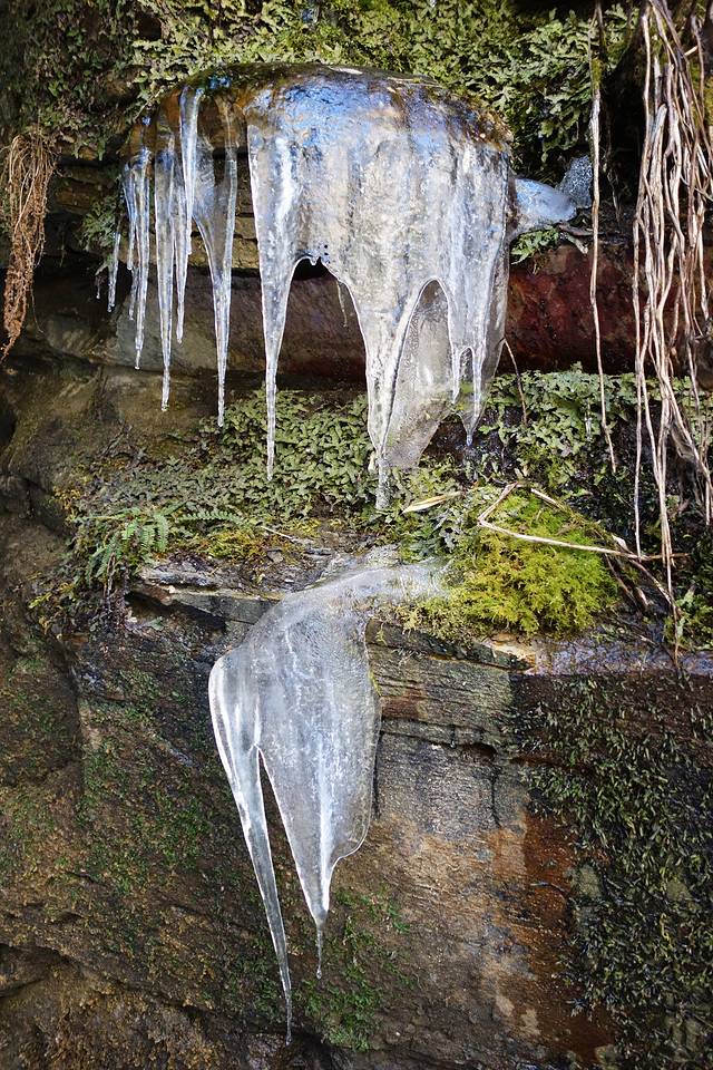 我在尼泊尔醒来