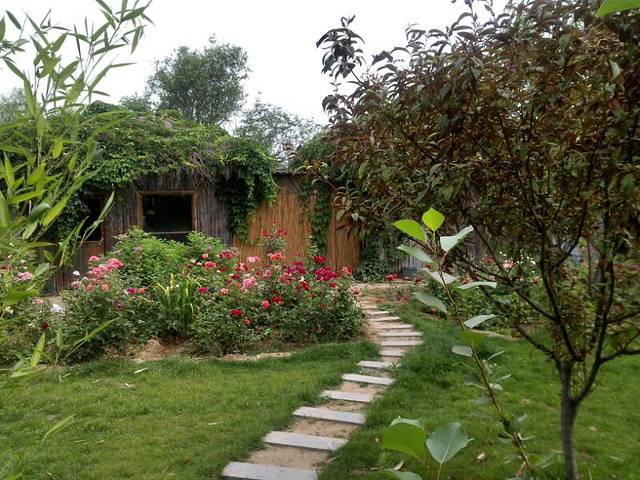 衡水湖旅游景区