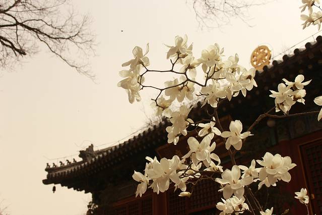 勅建弘慈广济寺