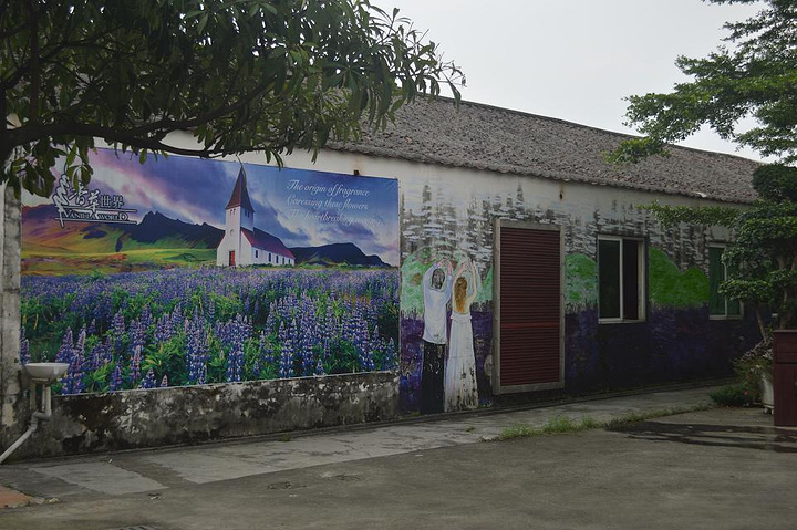 "门票价格100元，在去哪儿网上面订票有挺多优惠的_花都香草世界"的评论图片