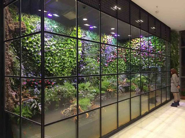 凯德广场(学府路店)