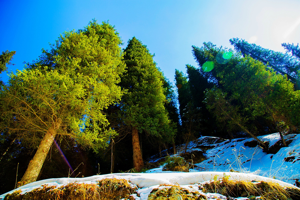 继续行走——白杨沟