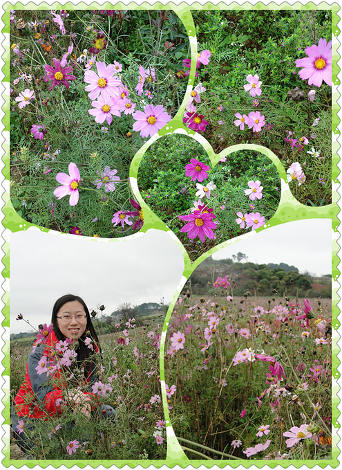 新春南宁赏花记 南宁旅游攻略 游记 去哪儿攻略