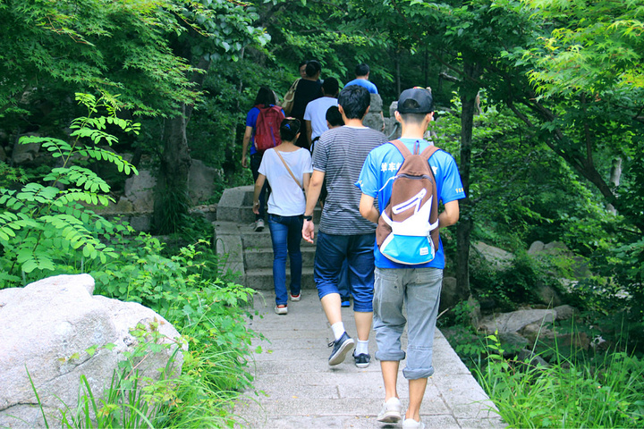 崂山景区分为很多条登山线路我们选择了巨峰这条线路学生票80元心在