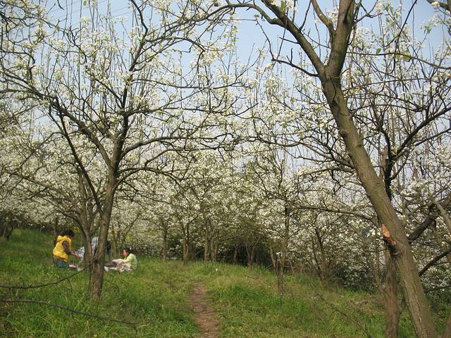 梨花溪风景区