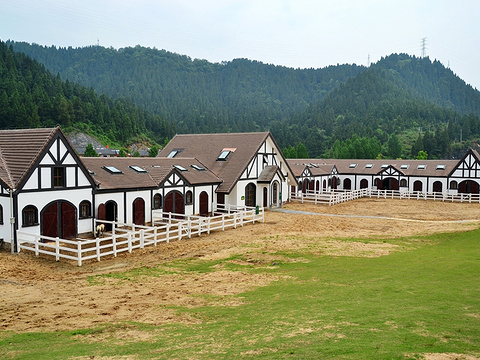 进贤湾马术公园