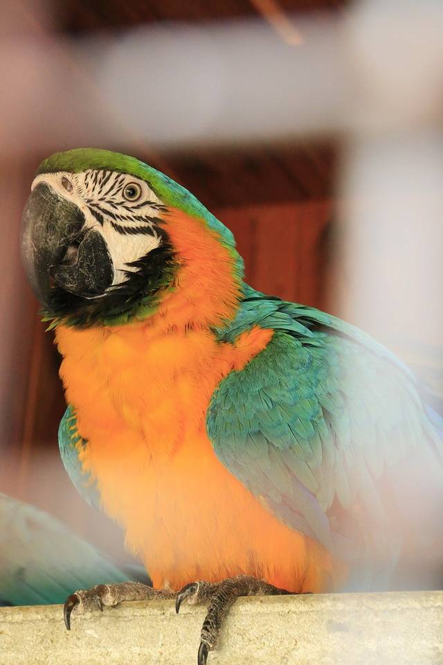 南沙水鸟世界生态公园