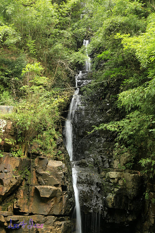 "...天飘降，轻柔，飘忽，无声无息……与雄伟壮阔的悬崖背景，刚柔并济，奇妙地融为一体，真叫人叹为观止_广东大峡谷"的评论图片