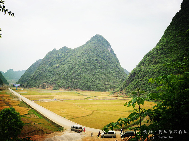 2024茂兰是一个半开发的景区，景色保留比较原始，里面很大，必须自驾或前往接待中心报名。游玩时间约一个半小时_茂兰喀斯特森林-评论-去哪儿攻略