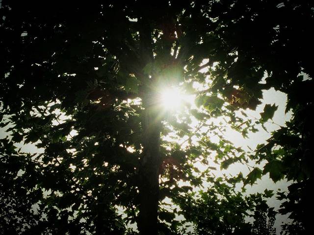 西北大学长安校区