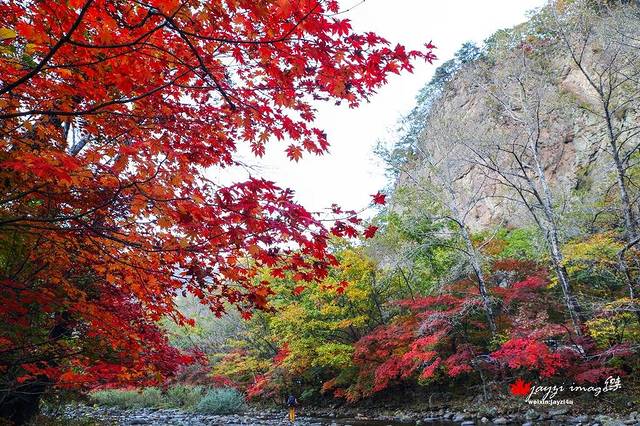 蒲石河森林公园