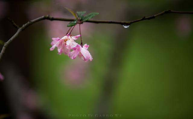 钟山风景区紫霞湖