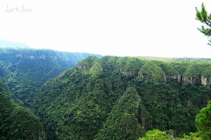 "...天飘降，轻柔，飘忽，无声无息……与雄伟壮阔的悬崖背景，刚柔并济，奇妙地融为一体，真叫人叹为观止_广东大峡谷"的评论图片