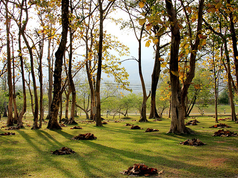 清迈大学旅游景点图片