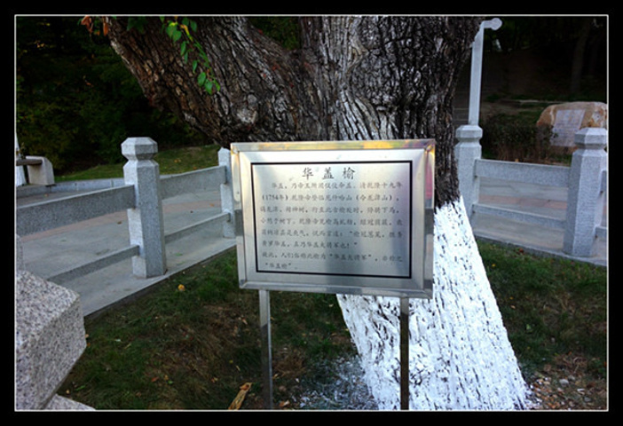 2017龙潭山遗址公园正门(感觉是楚国的风格)。在龙潭南侧，有石阶与神树遗址园相通。“南天门革命纪念遗址”_龙潭山公园评论 - 去哪儿攻略社区