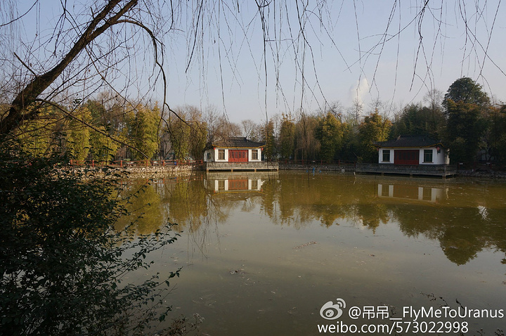 "也不怕人非常惬意的转来转去，然后我就又要嘚瑟一下淡季的好处了，除了我们还没有别的游人，整个景区..._武侯墓"的评论图片