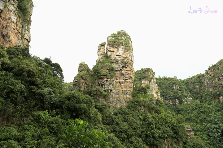 "...天飘降，轻柔，飘忽，无声无息……与雄伟壮阔的悬崖背景，刚柔并济，奇妙地融为一体，真叫人叹为观止_广东大峡谷"的评论图片