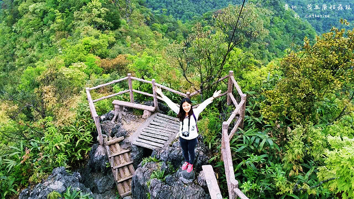 2024茂兰是一个半开发的景区，景色保留比较原始，里面很大，必须自驾或前往接待中心报名。游玩时间约一个半小时_茂兰喀斯特森林-评论-去哪儿攻略